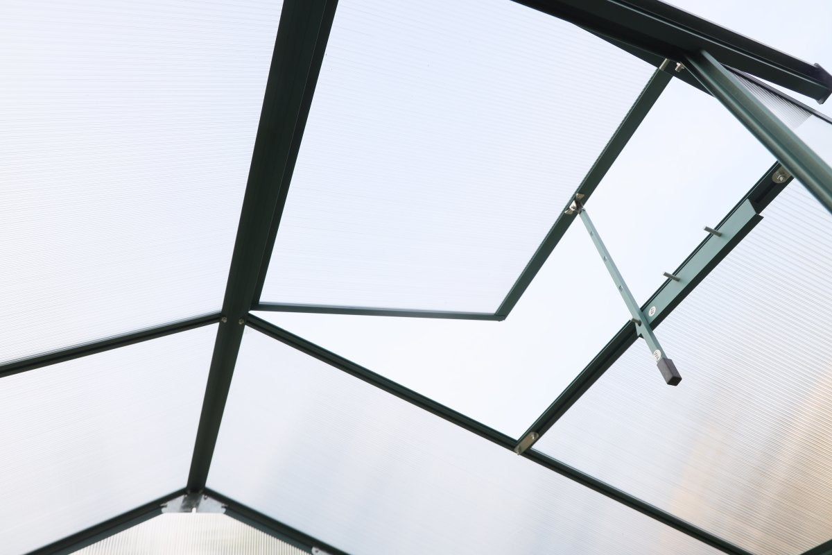 Greenhouse 6 x 8ft